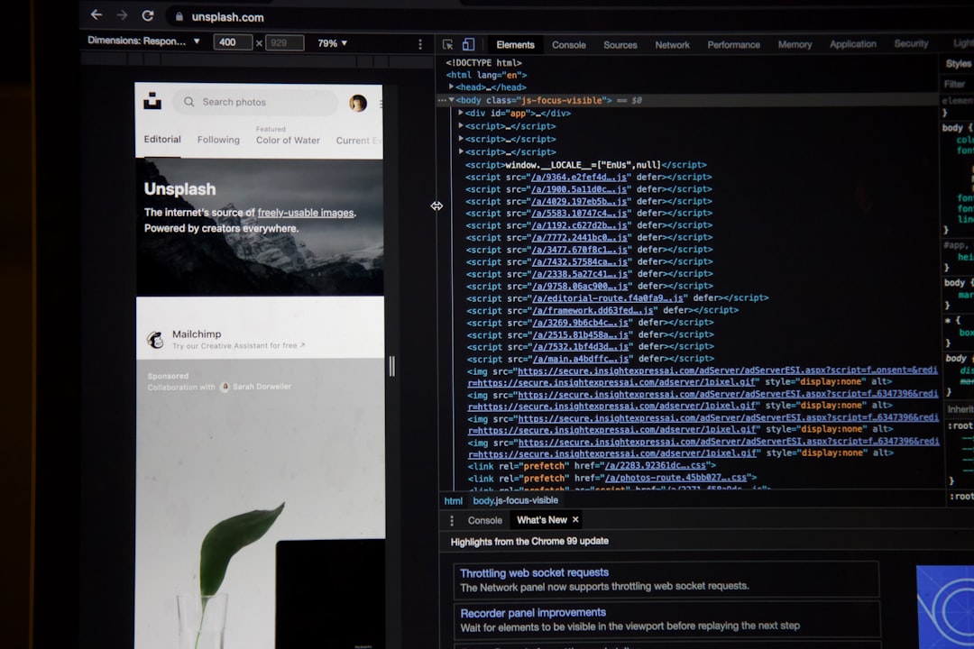 Unsplash Website in developer mode